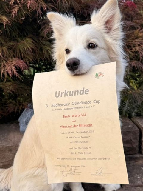Vleur mit der Urkunde für Platz 1 beim 3. Südharzer Obedience Cup
