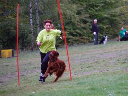ths_turnier-(21)