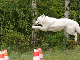 ths_turnier_092011-(104)
