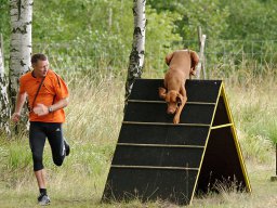 ths_turnier_092011-(111)