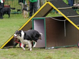ths_turnier_092011-(121)