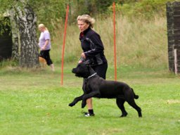 ths_turnier_092011-(6)