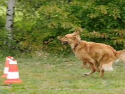 ths_turnier_092011-(62)