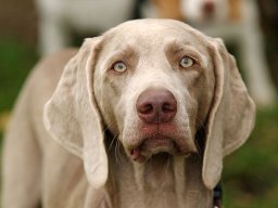 ths_turnier_092011-(67)