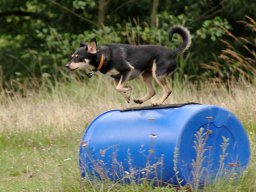 ths_turnier_092011-(78)