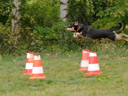 ths_turnier_092011-(80)