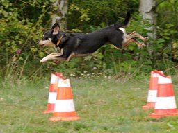 ths_turnier_092011-(89)