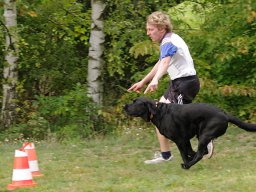 ths_turnier_092011-(92)