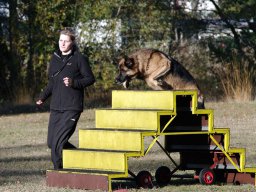 IMGP7767+1