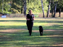 ths-turnier-2026-08-09-10