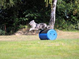 ths-turnier-2026-08-09-41