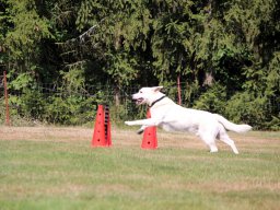 ths-turnier-2026-08-09-52