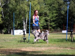 ths-turnier-2026-08-09-68