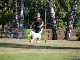 ths-turnier-2026-08-09-70