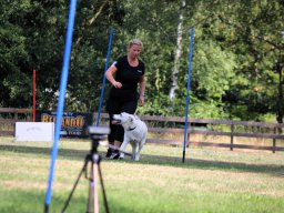 ths-turnier-2026-08-09-75