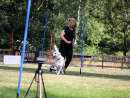 ths-turnier-2026-08-09-76