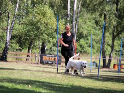 ths-turnier-2026-08-09-77