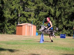 ths-turnier-2026-08-09-87