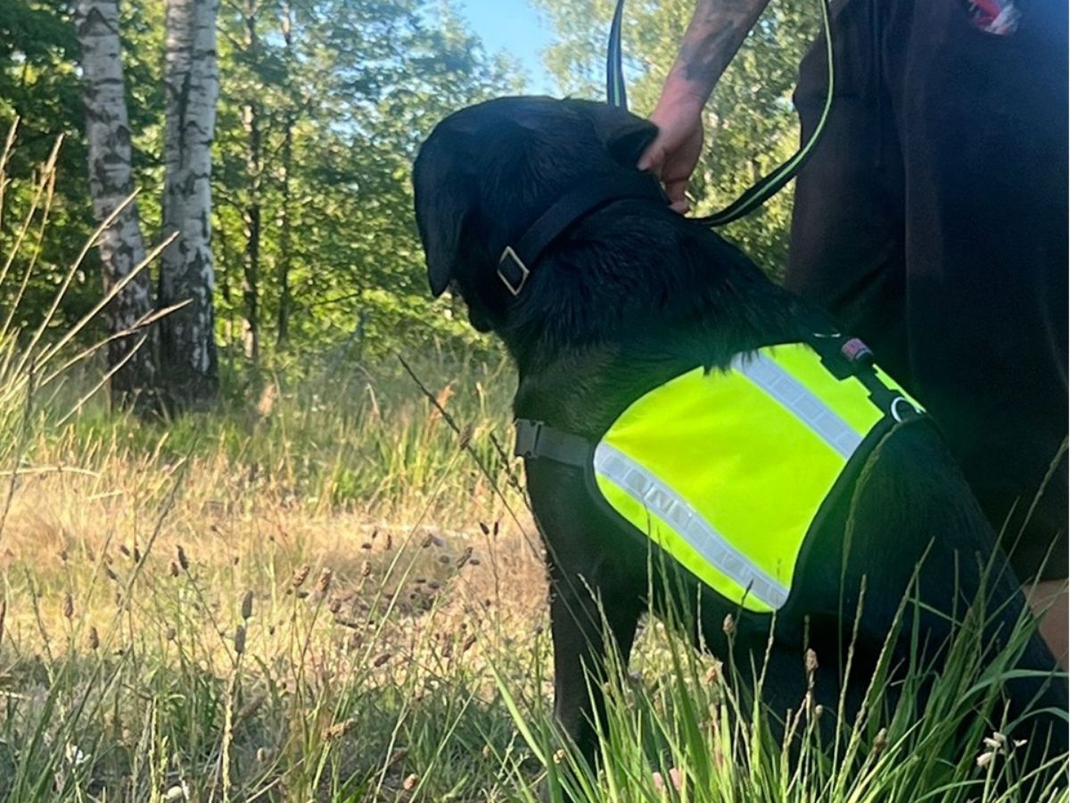 Gefundene Person mit Suchhund im Gelände