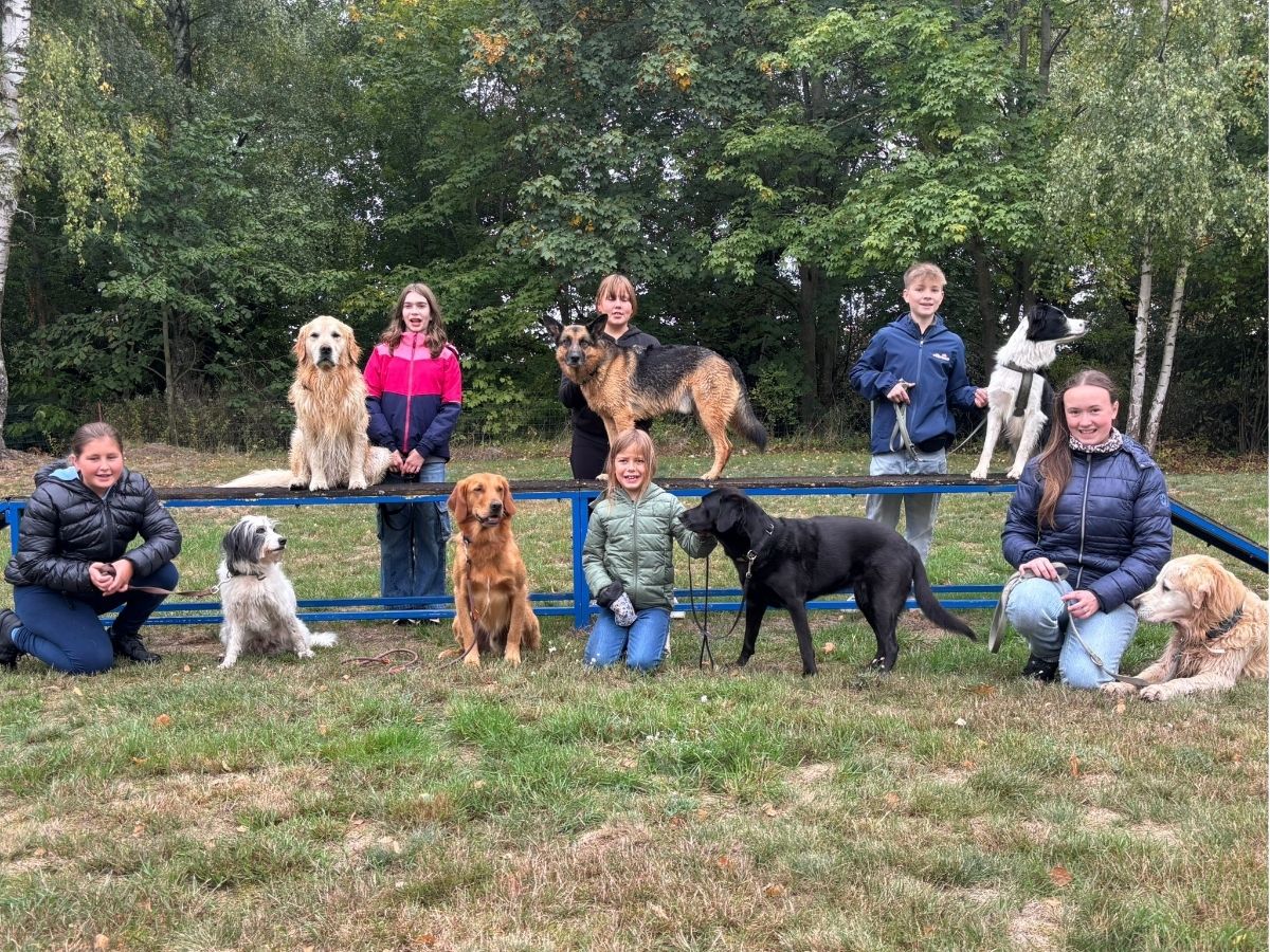 Kinder mit ihren Hunden bei einer gemeinsamen Trainingsstunde