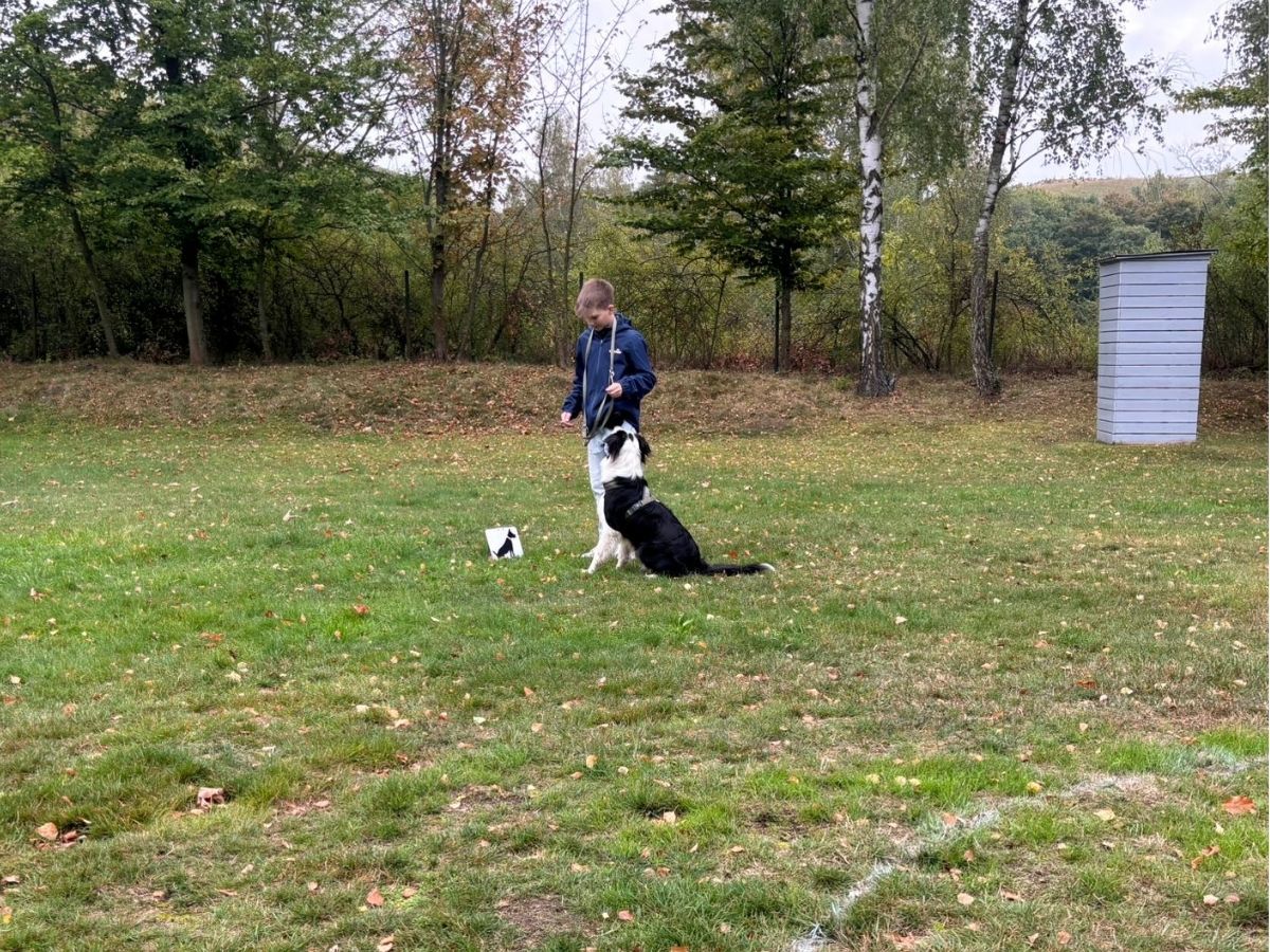 Kind und Hund bei einer Grundübung
