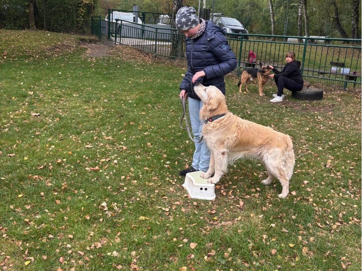Spielerische Übung mit Hund auf dem Vereinsgelände