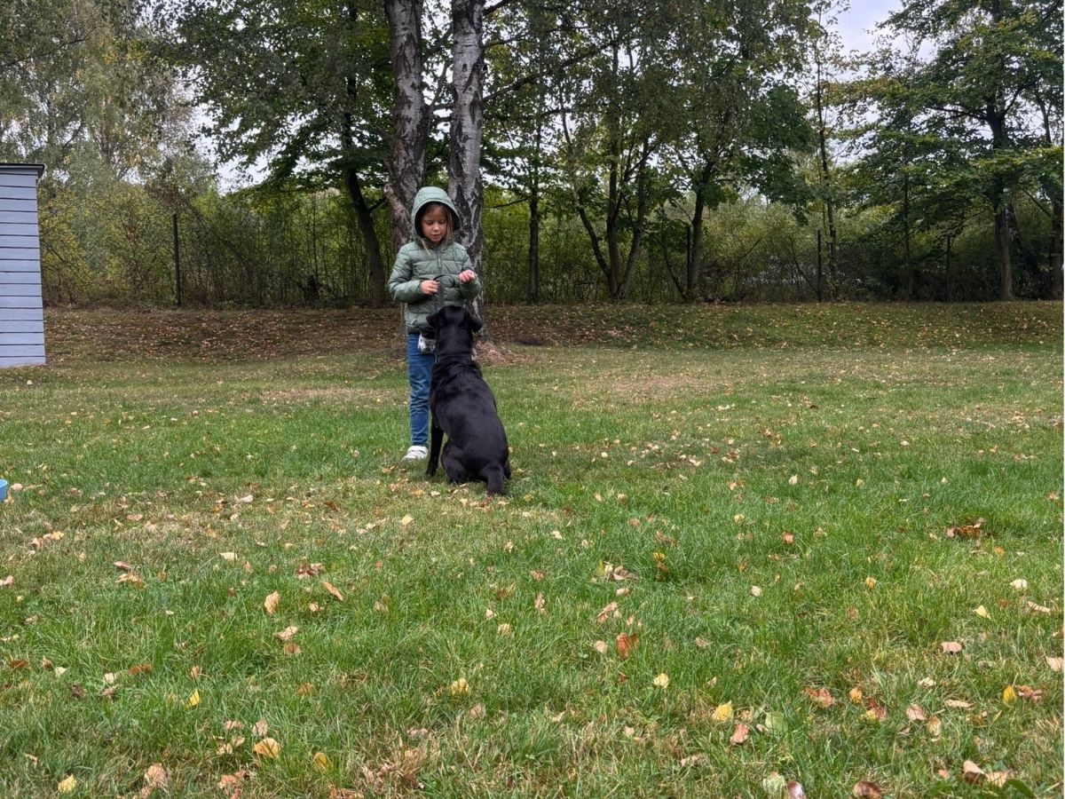 Kinder und Hunde bei einem kleinen Trainingsparcours