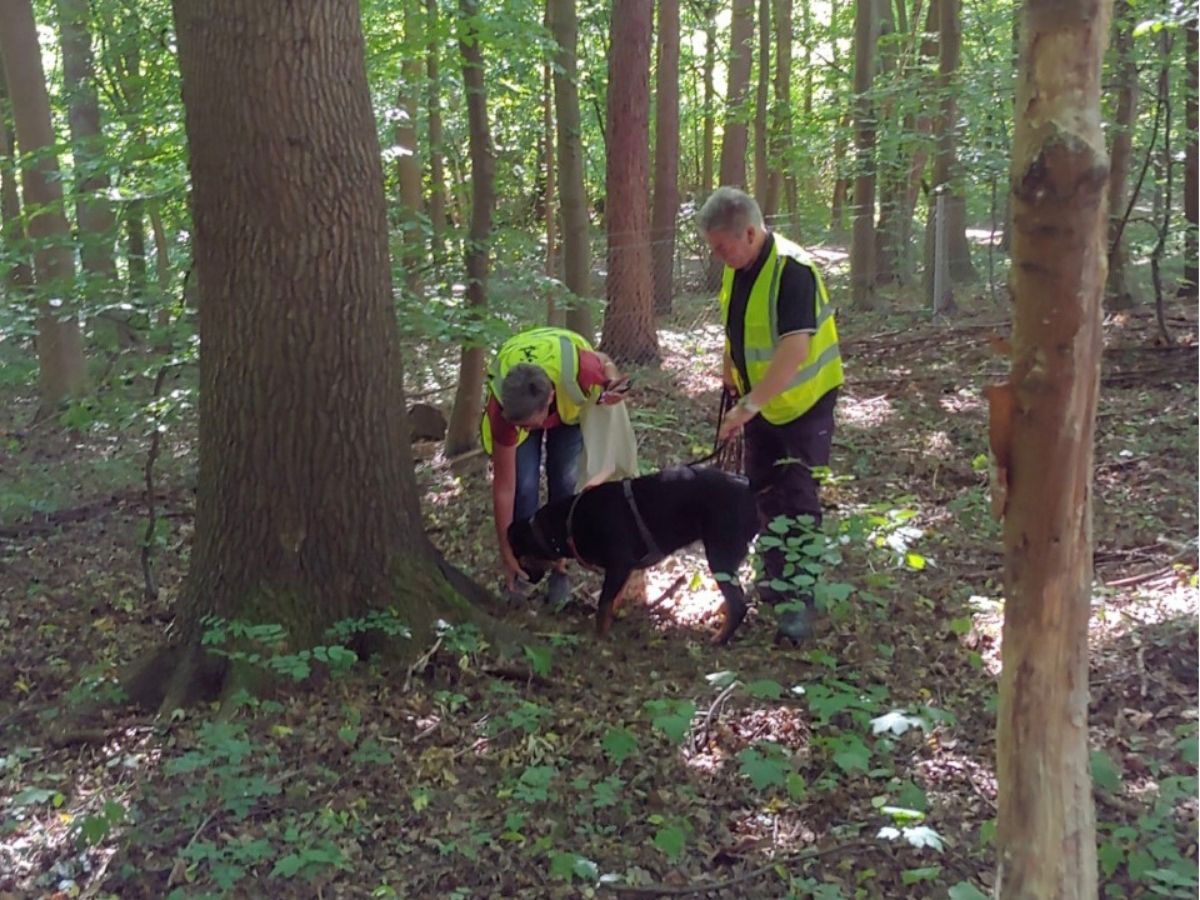 Gefundene Person mit einem Mantrailing-Hund