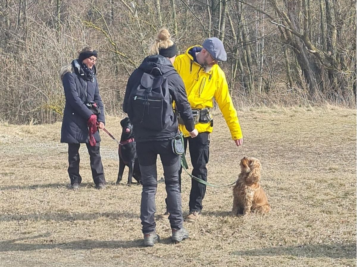 Social-Walk-Gruppe des SGV Langelsheim