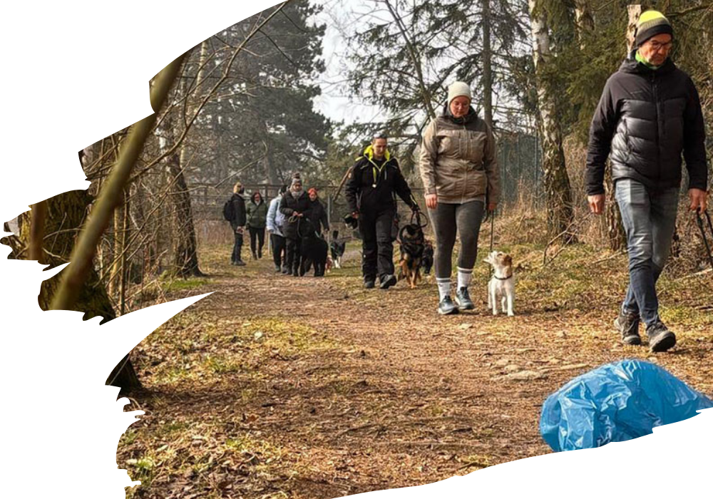 Mensch-Hund-Teams bei einem Social Walk des SGV Langelsheim