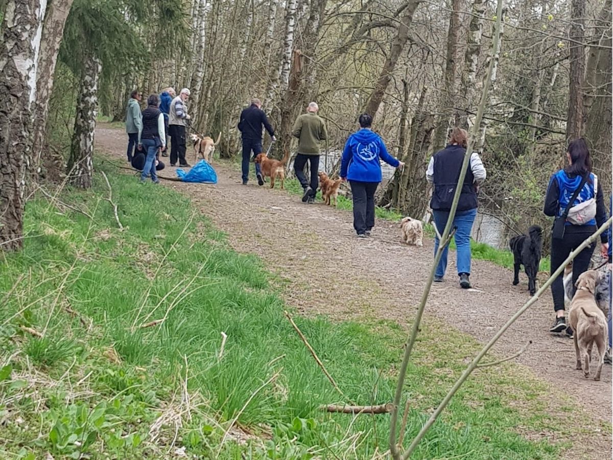 Mensch-Hund-Teams bei einem gemeinsamen Social Walk