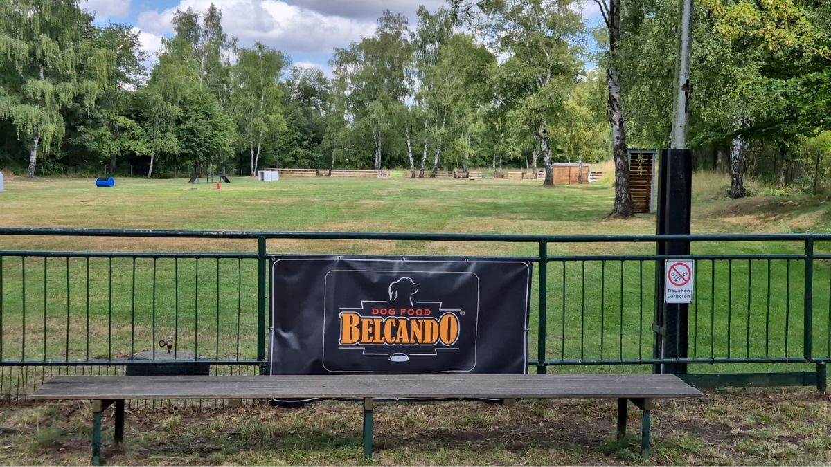 Vereinsgelände des SGV Langelsheim mit Belcando-Banner